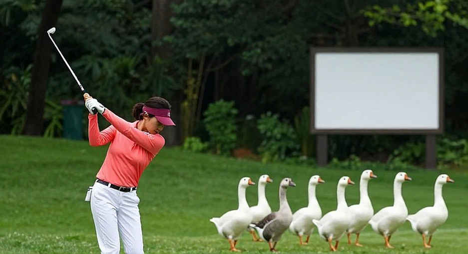 Hướng dẫn người xem Solheim Cup 2026: Đội Mỹ và châu Âu sẵn sàng cho cuộc chiến tranh cúp